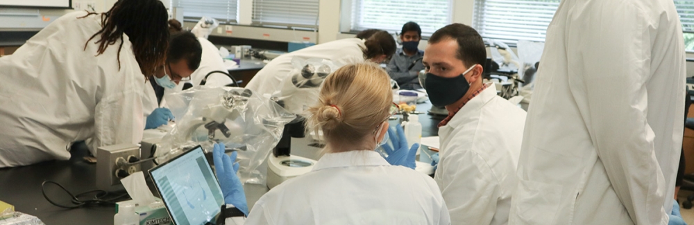Students in the 2022 ECHO Course perform lab work