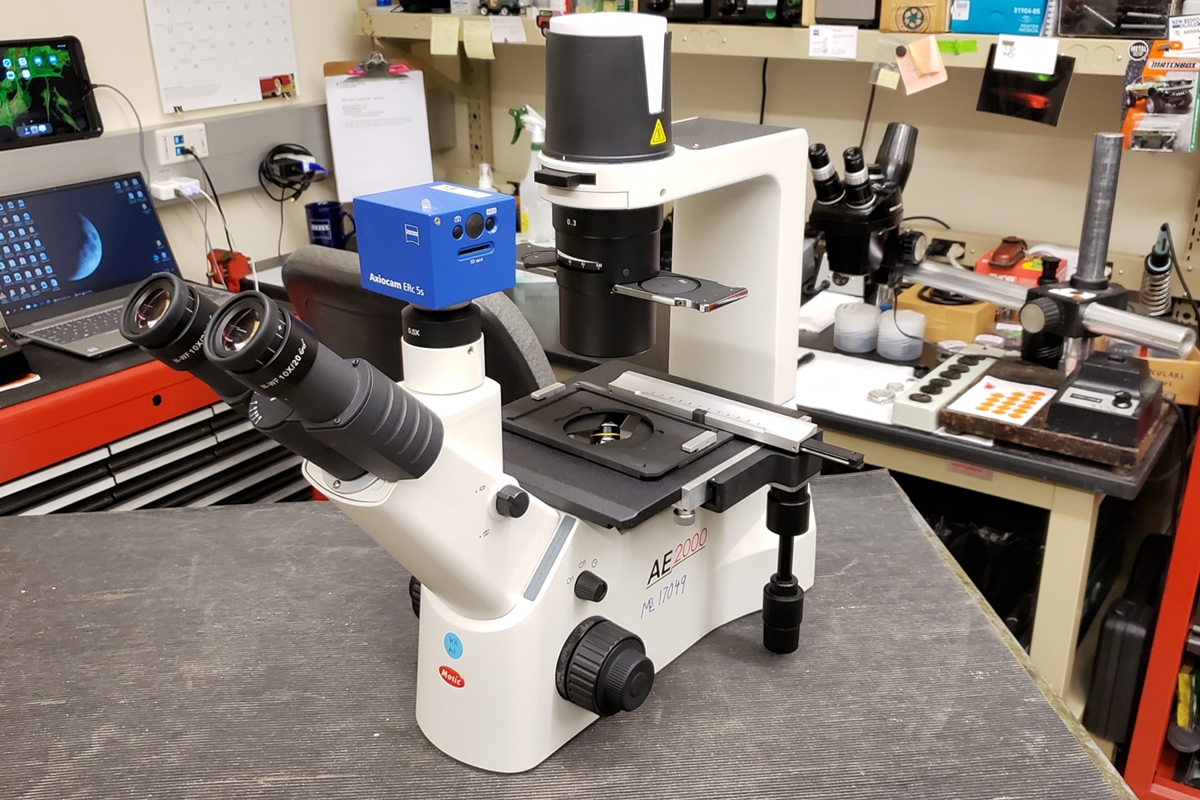 Motic AE2000 Inverted Trinocular Microscope