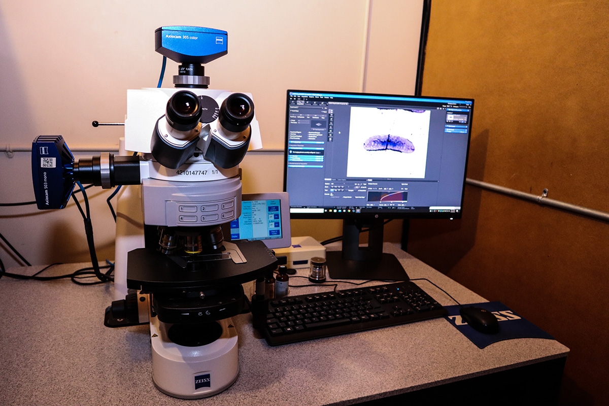 Zeiss Axio Imager.M2 Microscope