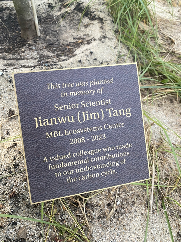 bronze plaque commemorating Jim Tang