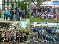 Neurobiology 2011