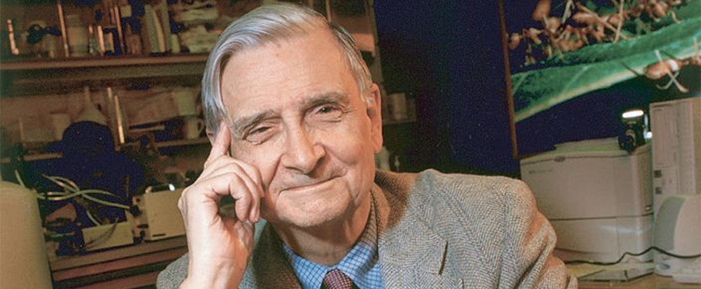 E.O. Wilson, 'Darwin's natural heir,' dies at age 92