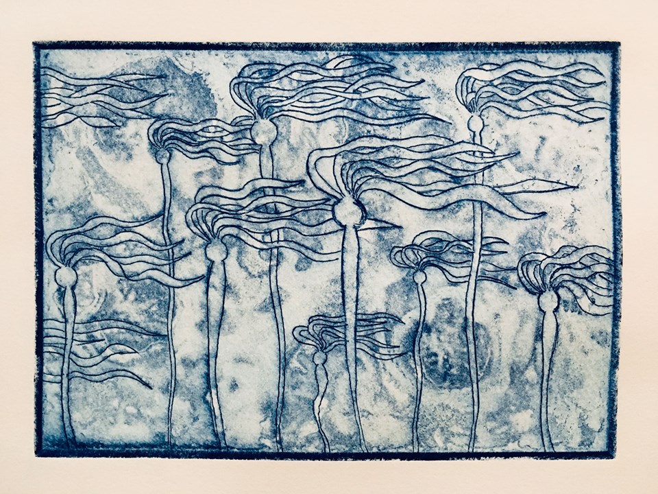 Print of kelp forest by Brooke Weigel