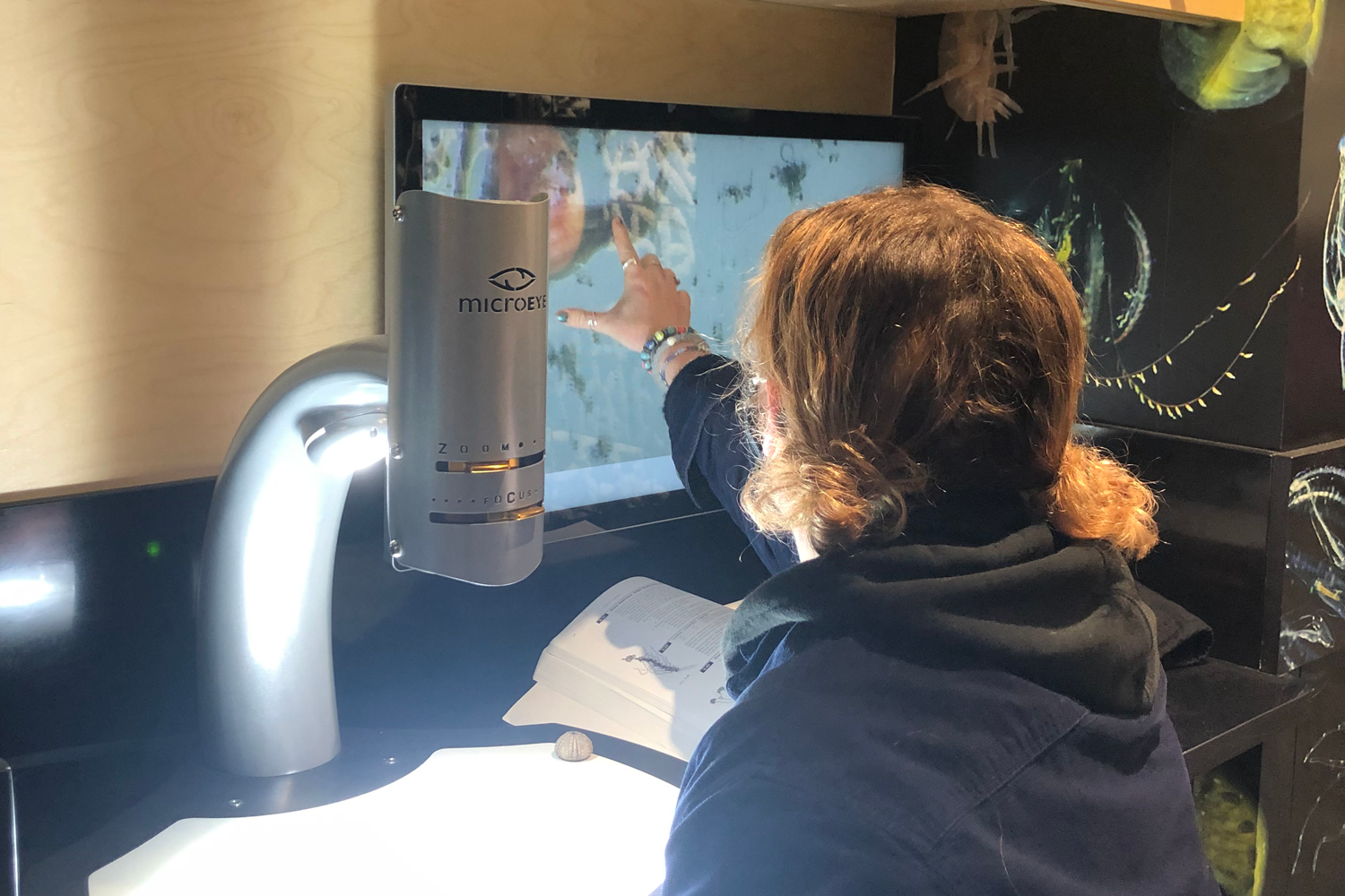 O'Connor testing the new interactive microscopy exhibit in the MBL's Marine Resources Center.