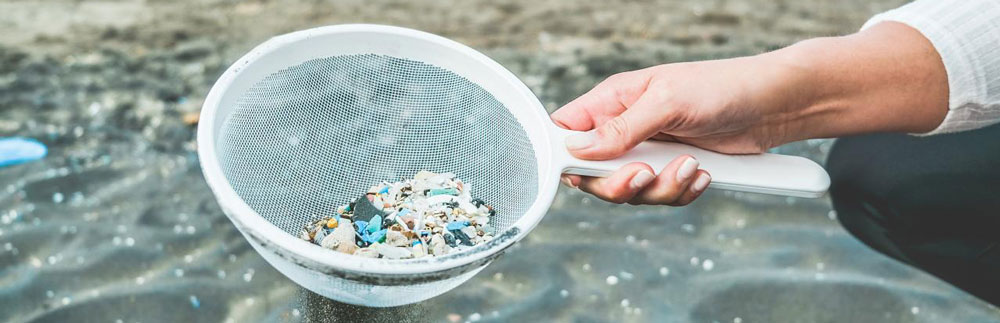 MBL Fellow Linda Amaral-Zettler and colleagues coined the term "Plastisphere" in 2013