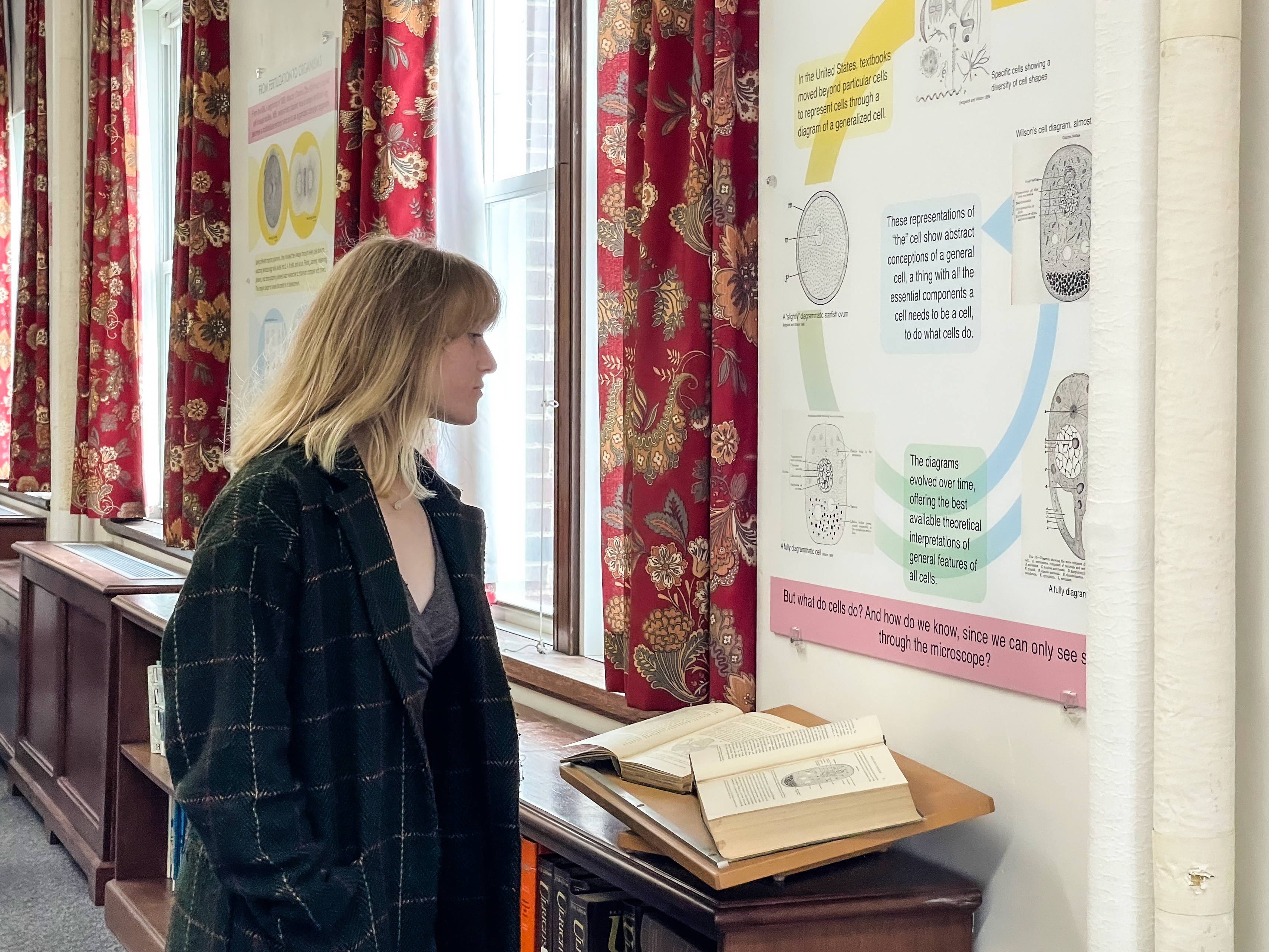 Anna Clemencia Guerrero, creator of the “Seeing Cells” exhibit in the Bay Reading Room of the MBLWHOI Library.