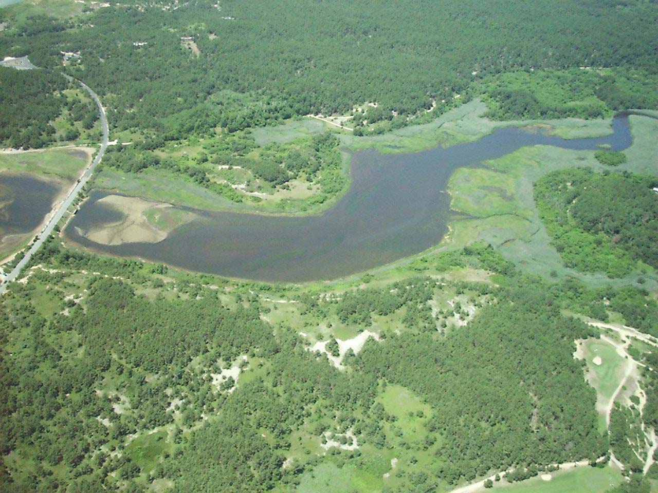 Lower Herring River in Wellfleet Credit Cape Cod National Seashore