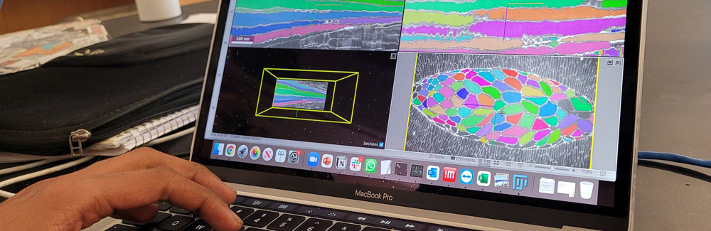 Scene from MBL Deep Learning Course Credit Anh Phuong Le