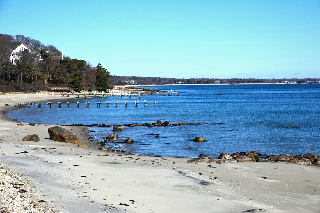 a scenic beach in Woods Hole
