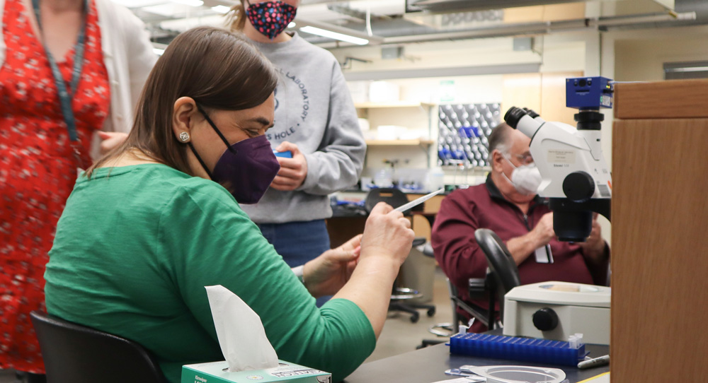 Graham school student in lab