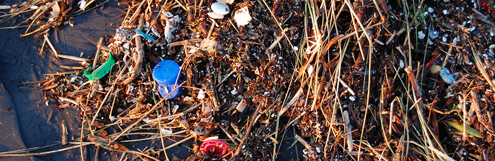 Plastic washed up on the beach. Credit Kevin Krejci via Wikimedia Commons