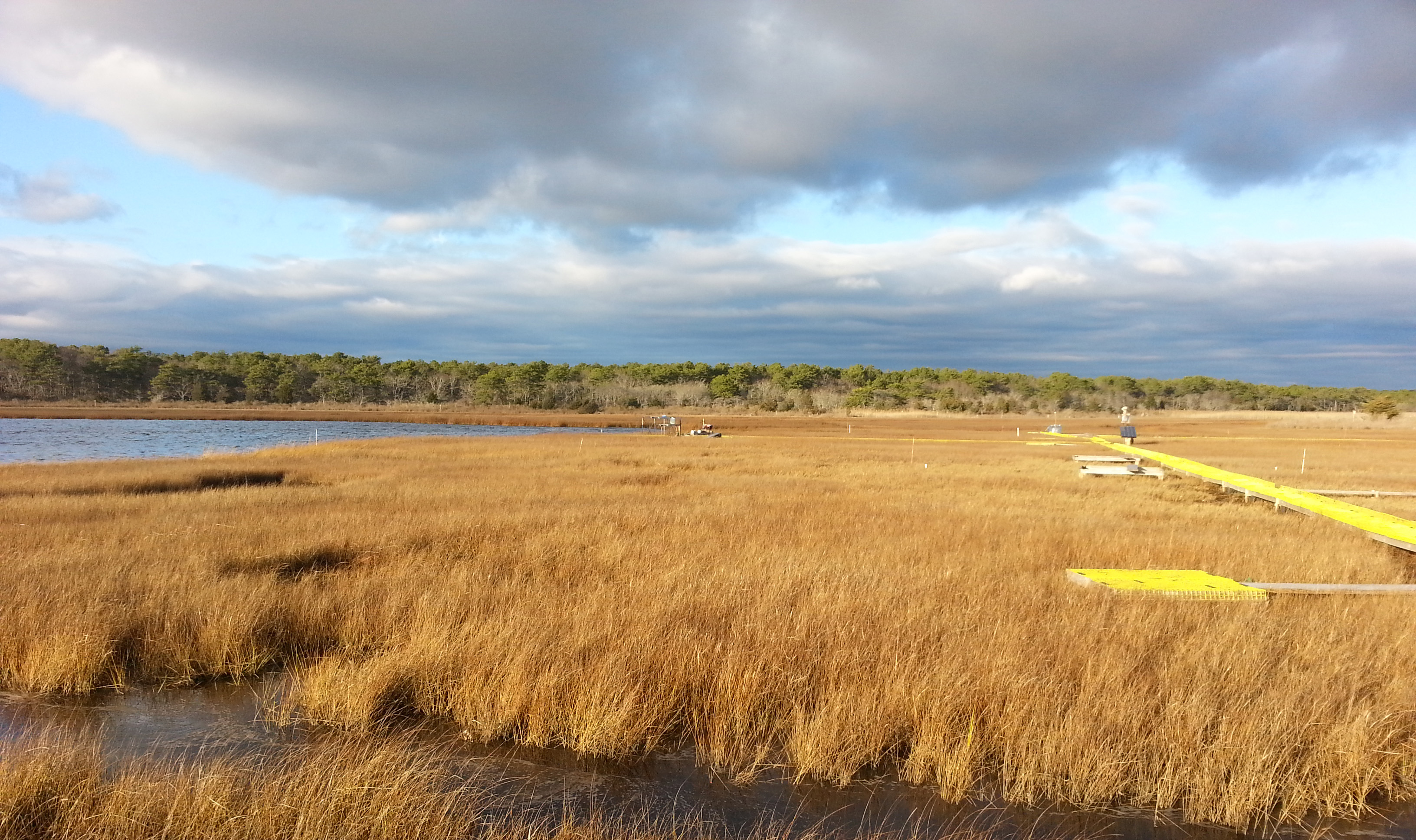 Sage Lot Pond marsh in Mashpee Mass 