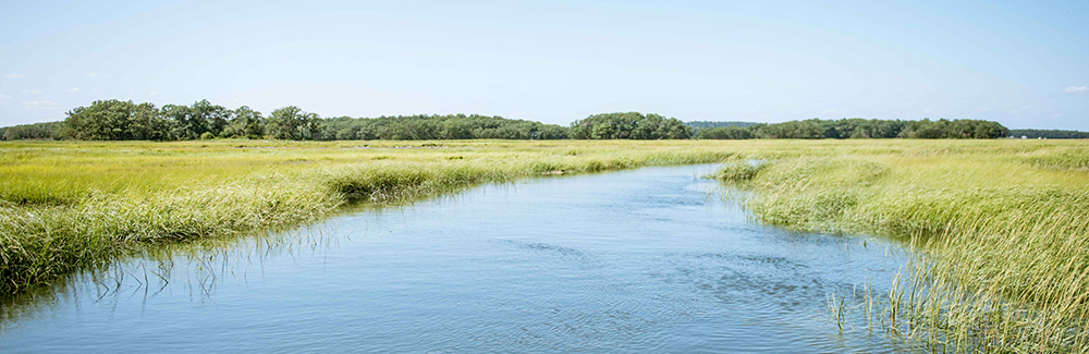 Plum Island LTER