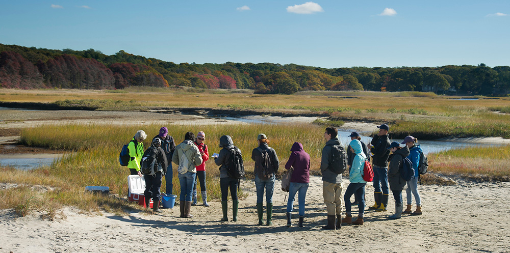 students in marsh