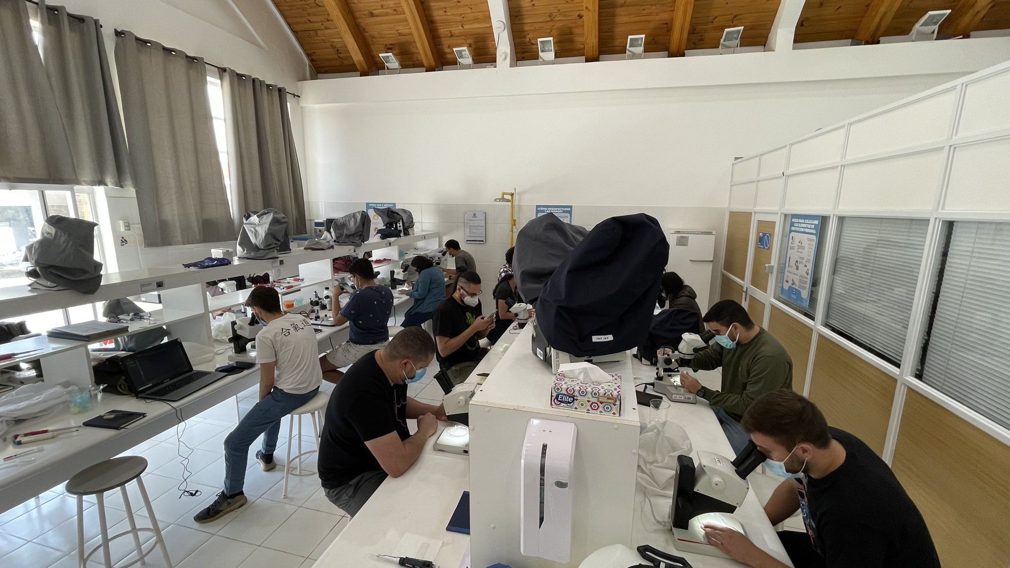 Students in the the lab during the flatworm (Planaria) module of the 2023 EMBO Practical Course in Developmental Biology. Credit: A. Sanchez Alvarado