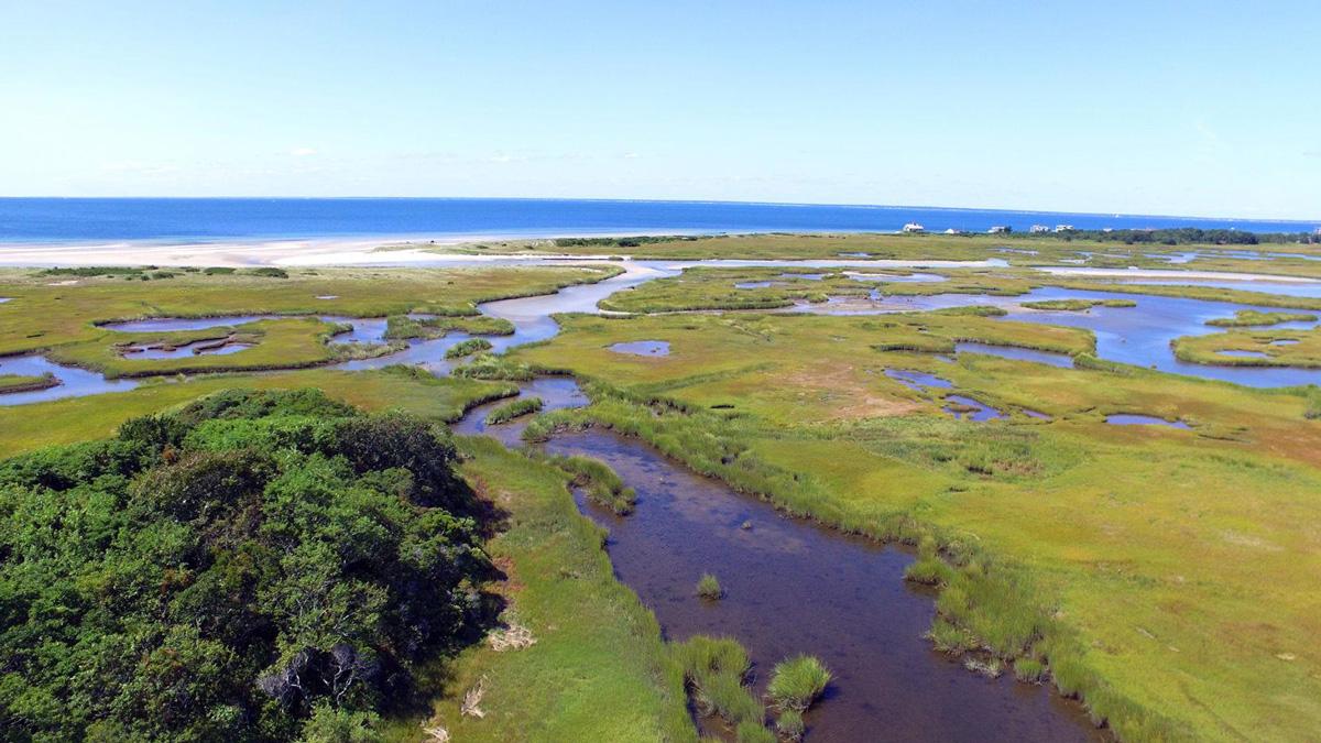 drone shot of salt marsh