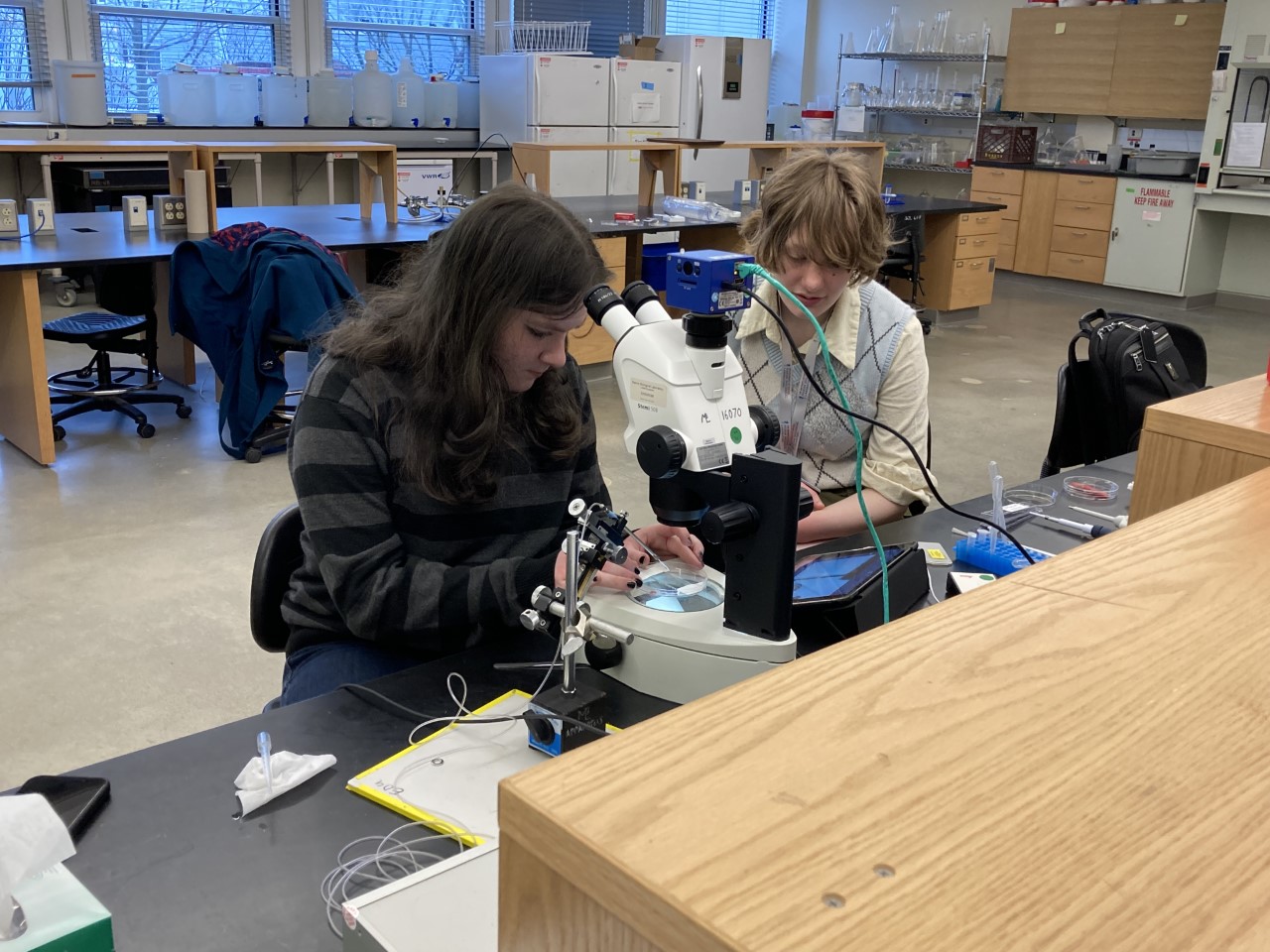 Students at a lab bench. Credit Jean Enright