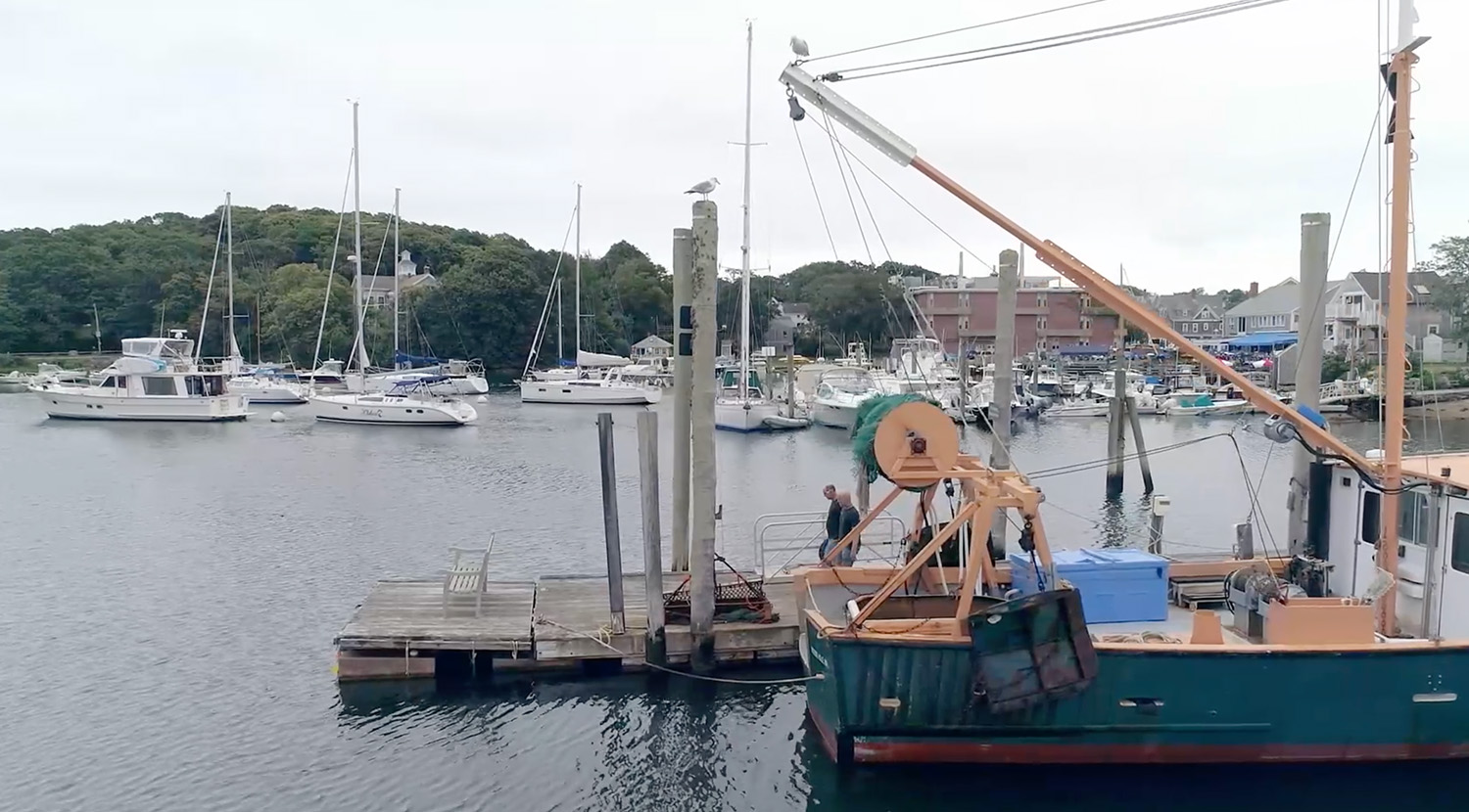 Earth, A Living Body Mona Lisa Production and France Televisions Marine Biological Laboratory