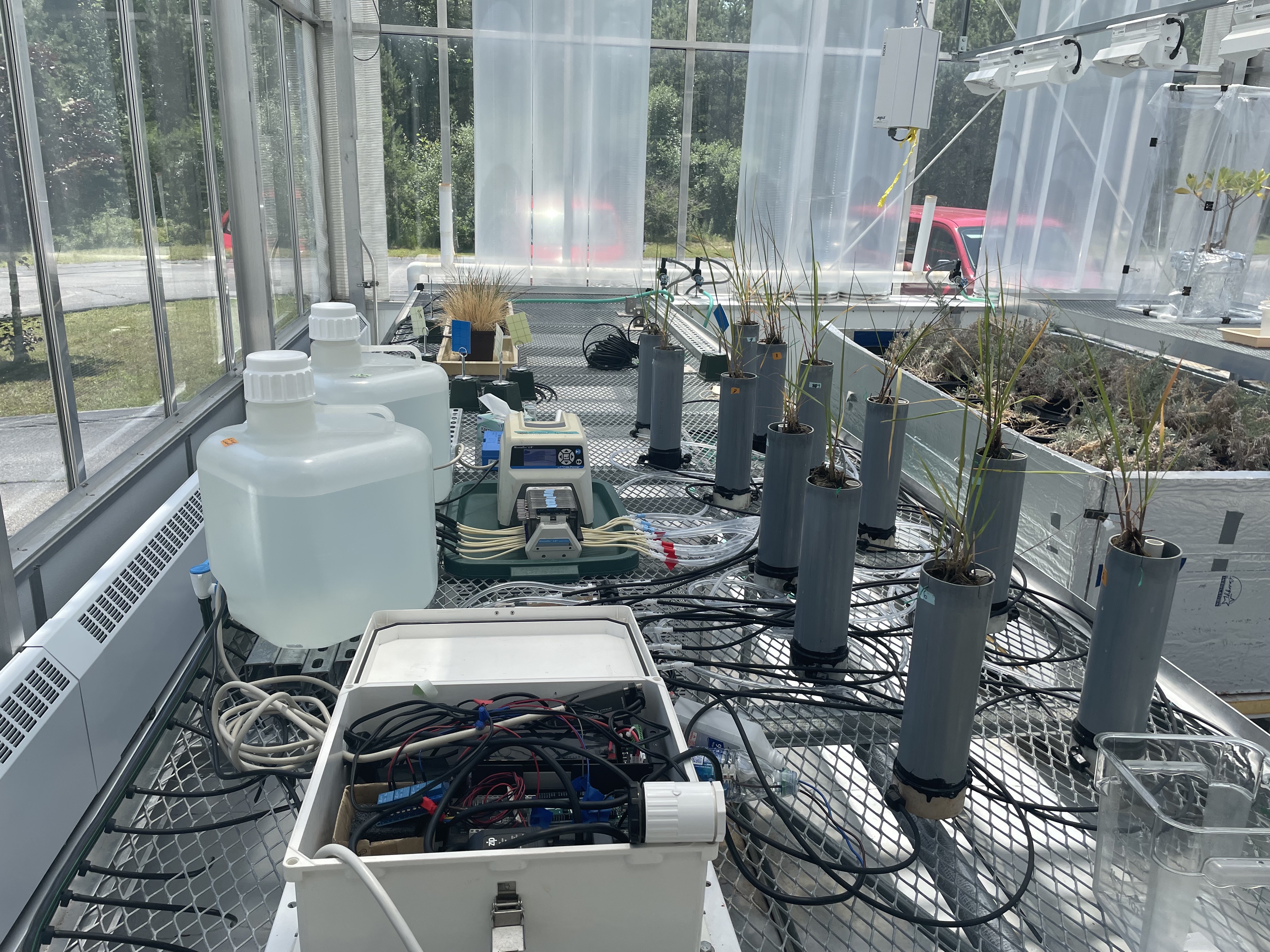 A custom built, artificial "tidal" system in the MBL greenhouse. Samples of cordgrass are in different containers and exposed to different salinity levels.