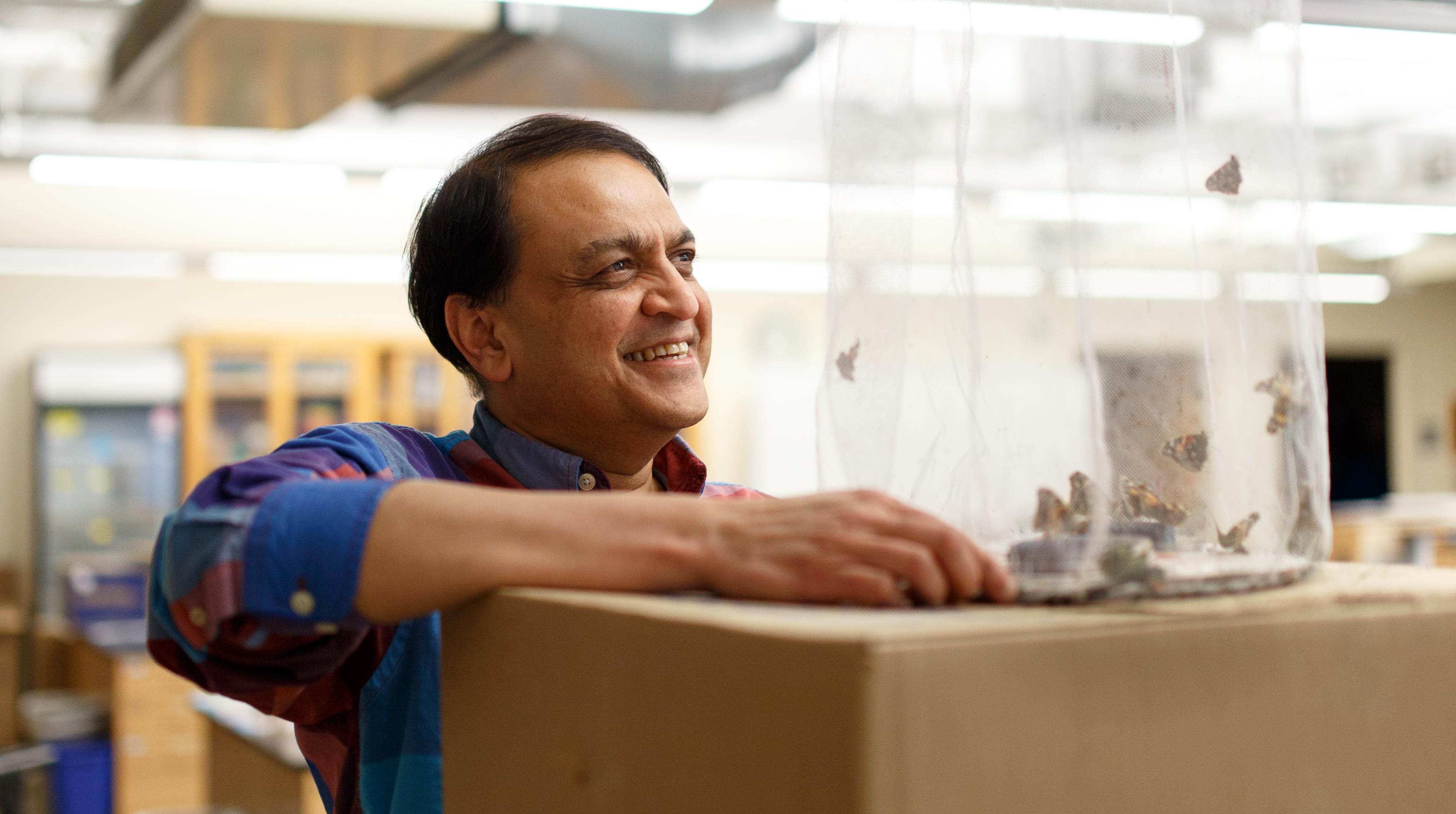 MBL Director Nipam Patel with butterflies. Credit Dee Sullivan