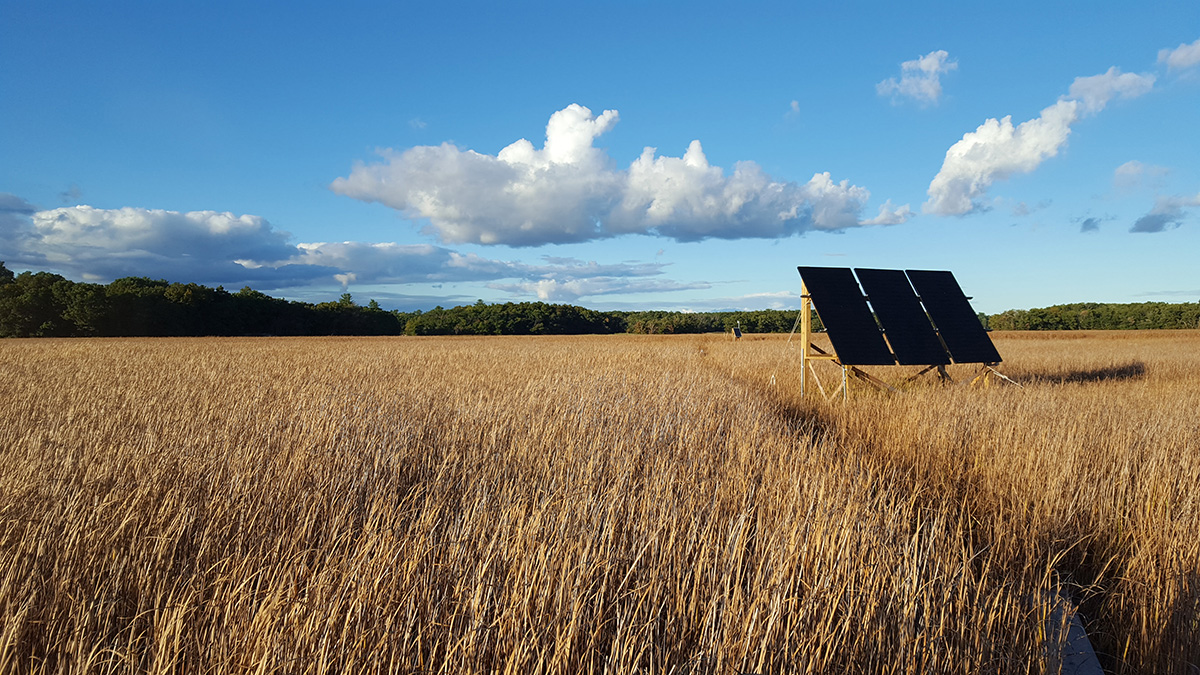 solar panels at PIE LTER