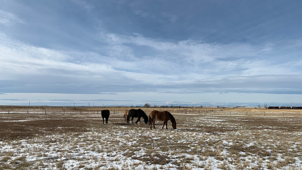 Barons, Alberta, Canada