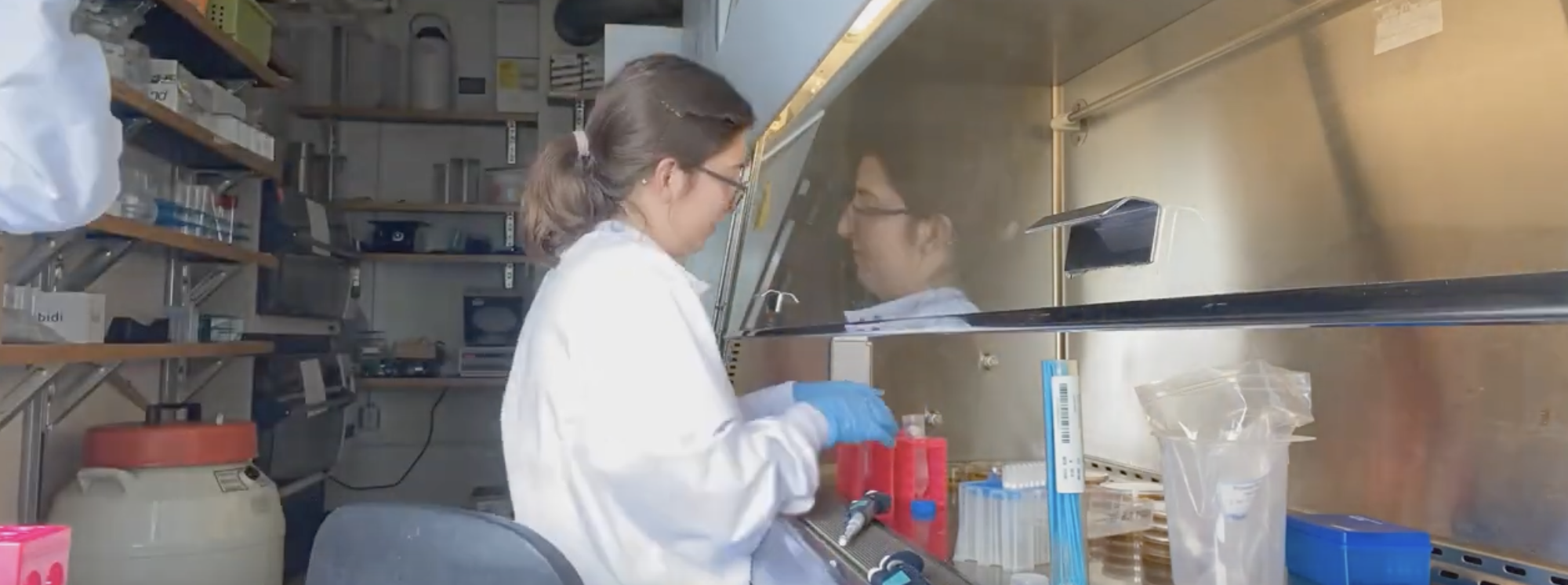 A Day In The Life Of Metcalf Intern Marta Pantin Marine Biological