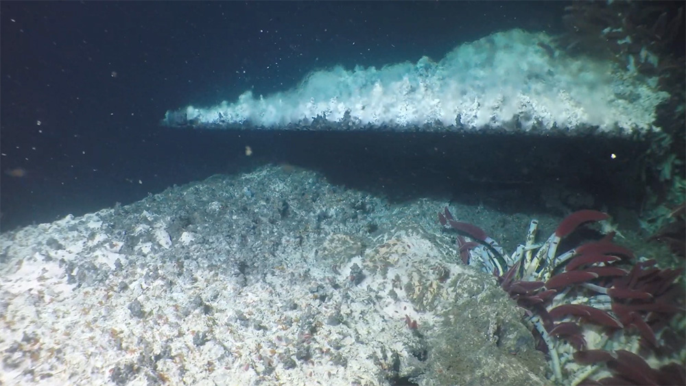 Small Sub Ocean Life is Thriving in the Subsurface Depths of Earth | Ars Technica ...