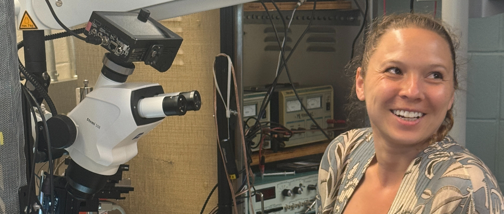 From Gliding To Spinning How Do Dragonflies Fly Marine Biological