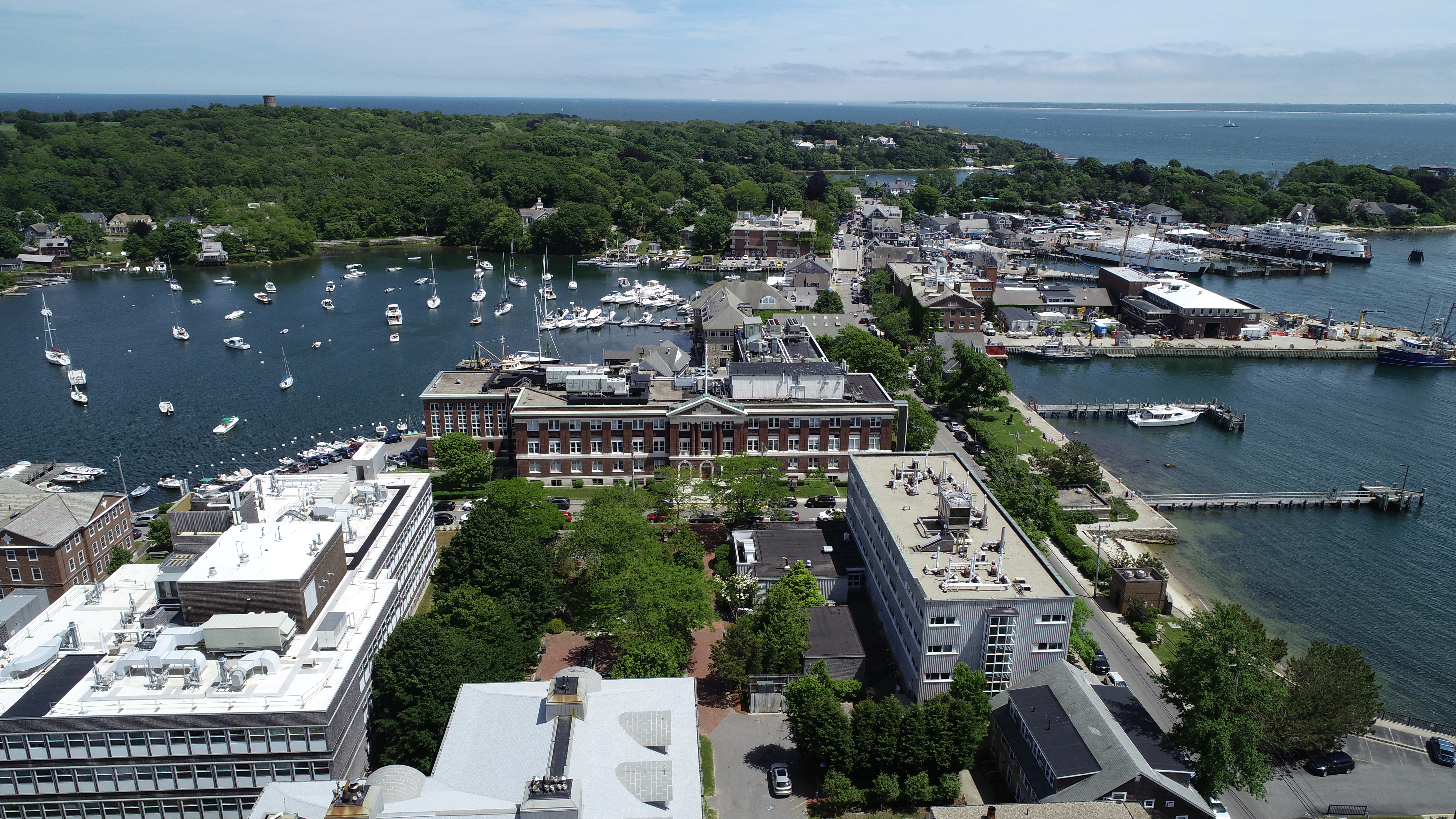 Science at the Marine Biological Laboratory in Woods Hole | CAI ...