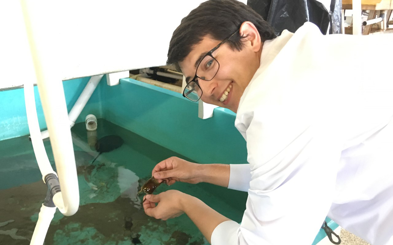 Alexander Okamoto holds a skate egg case in the MBL Marine Resources Center. Credit: Marine Biological Laboratory