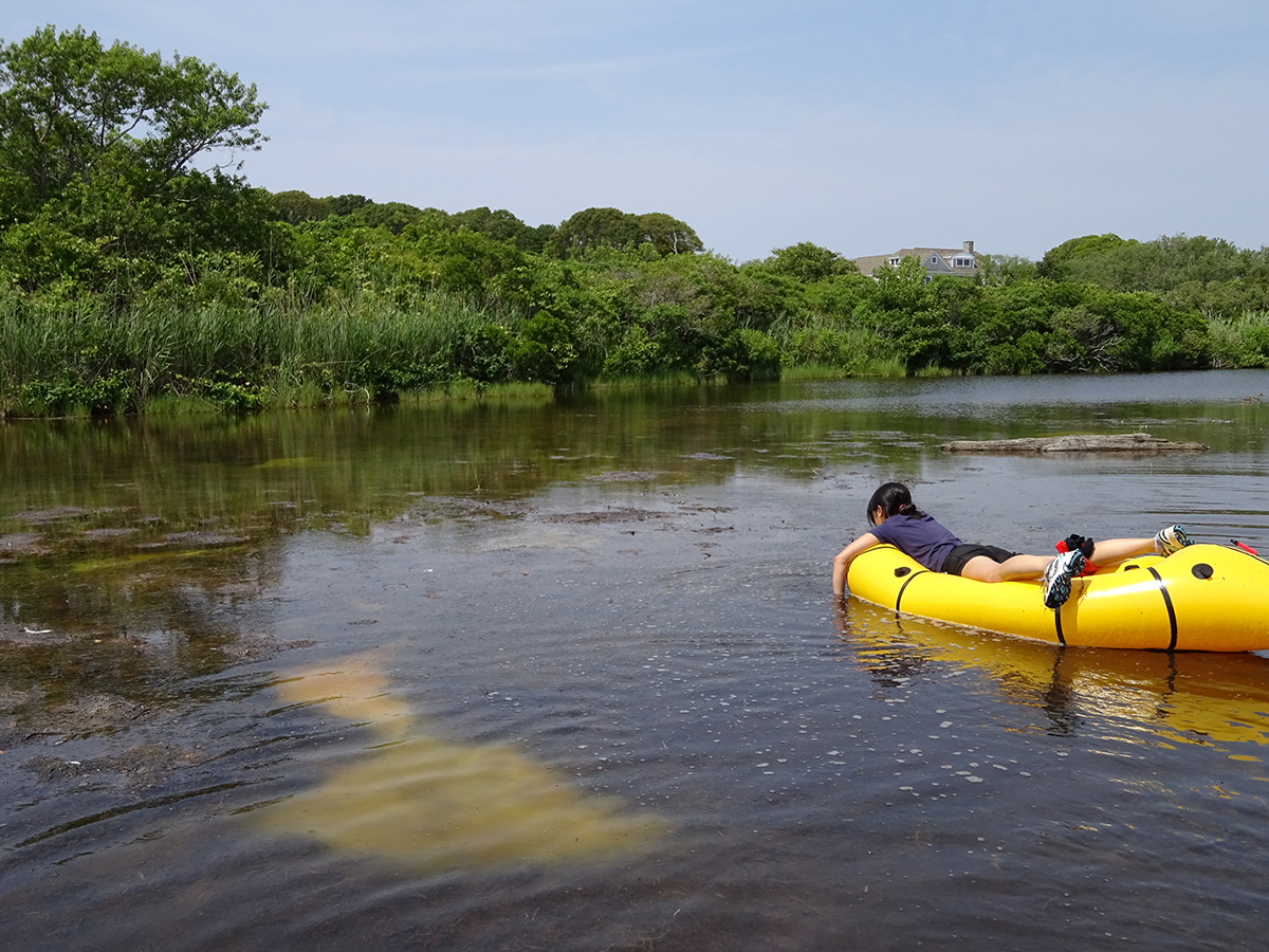 Sampling at the Trunk River Lagoon. The sulfur bloom is the yellow patch at left. Credit: Emil Ruff
