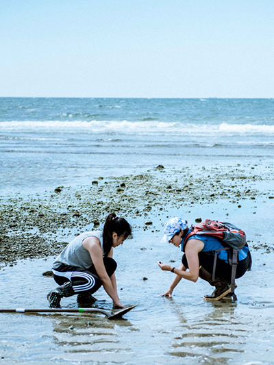 Sampling at Wood Neck Beach for the “Marine Invertebrates of Woods Hole” course. L-R: Lavina Li, a 4th-year Anthropology/Chemistry major, and course teaching assistant Brooke Weigel, a PhD student in Evolutionary Biology. Credit: Megan Costello