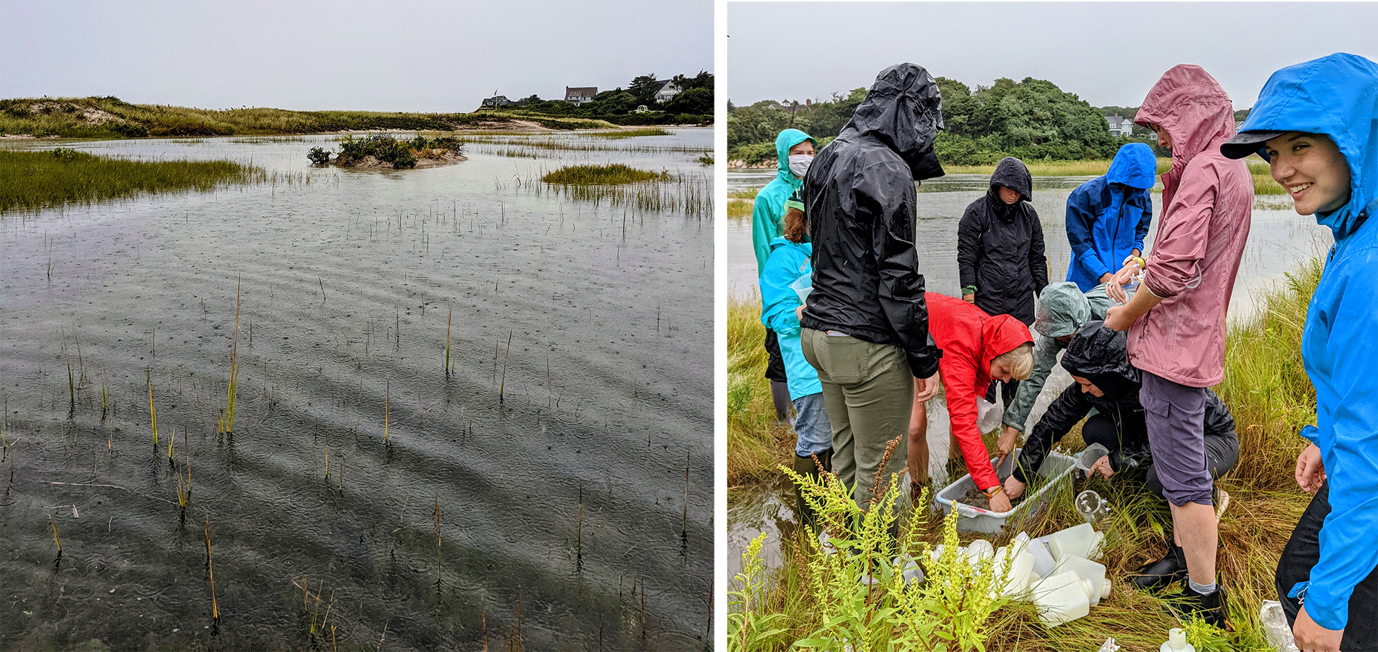 A rainy marsh on left and students in rain gear collecting samples in the marsh on right