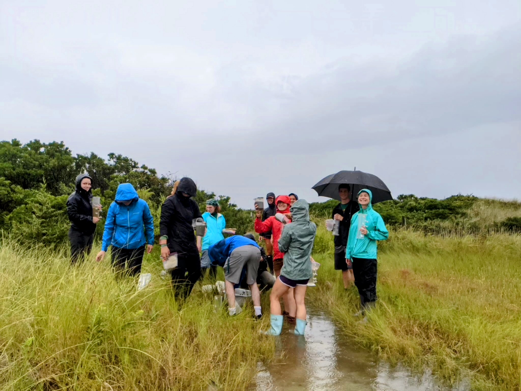 Students from MBL's Semester in Environmental Science headed to Little Sippiwissett Marsh to collect samples -- in spite of the rain.