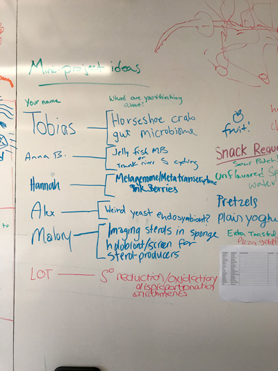 microbial diversity course