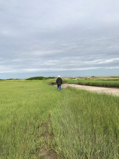 Mitch Sogin in Little Sippewissett marsh