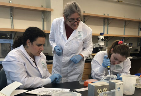MBL Associate Scientist Jessica Mark Welch in an MBL teaching lab with University of Chicago students. Credit: Ege Yalcindag