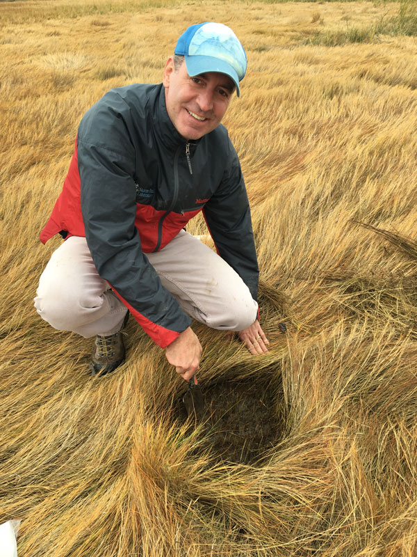 Daniel Obrist, chairman and professor, </em><em>Department of Environmental, Earth and Atmospheric Sciences at UMass Lowell, conducting field work at the Plum Island LTER.