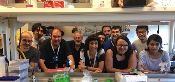 Neil Shubin (center left) of University of Chicago with members of the Gómez-Skarmeta, Nakamura and Shubin labs in the MBL Whitman Center.