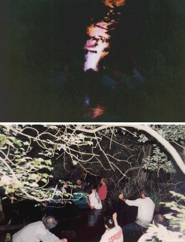 Figure 1. Two photos from the Volta experiment. Top was taken without a flash and bottom was taken with a flash from about the same location to give a sense of dimension. Source: David Westenberg
