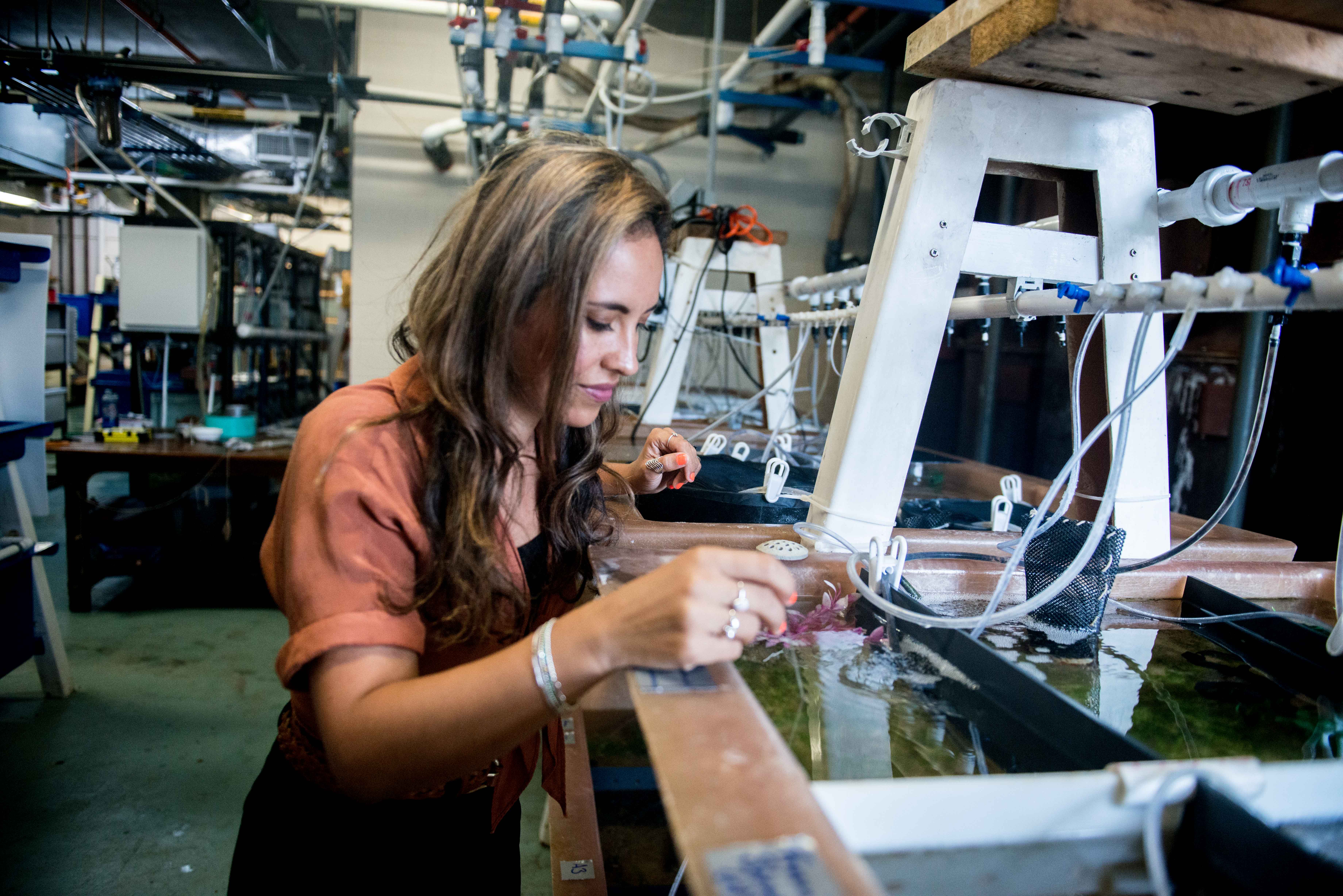 Alexandra Schnell in the Cephalopod Mariculture Facility at the Marine Biological Laboratory. Credit: Grass Foundation