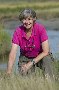 Anne Giblin, lead principal investigator of the Plum Island Ecosystems LTER site. Credit: Tom Kleindinst