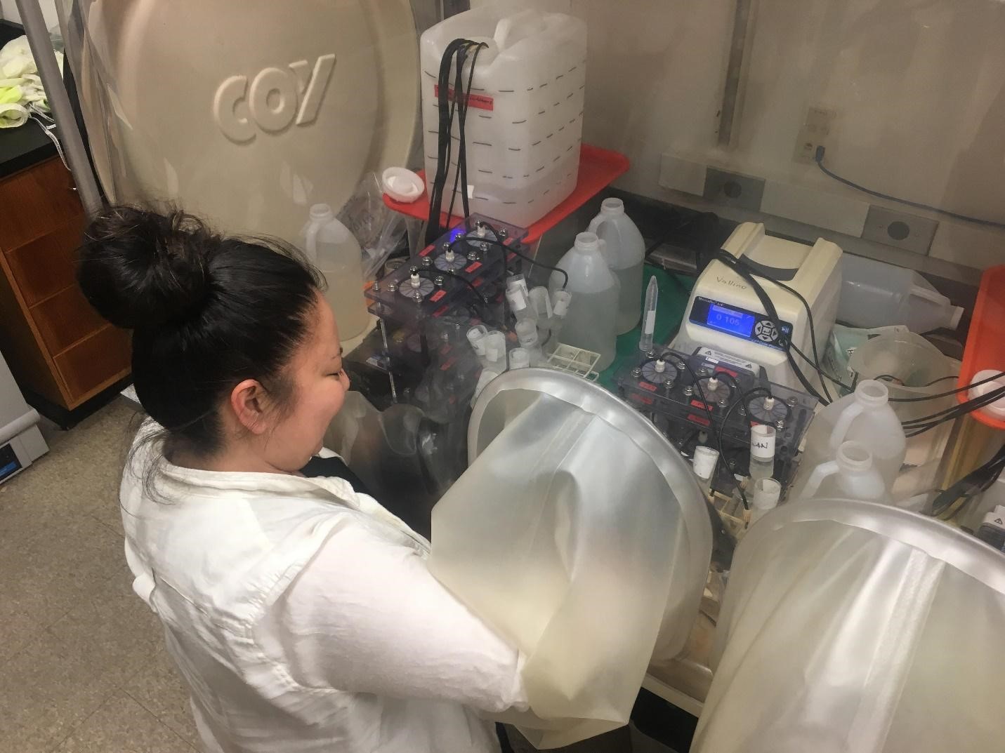 Ashley Bulseco, pictured, and team used a controlled flow-through reactor experiment to determine how nitrate affected organic matter decomposition and microbial community structure in salt marsh sediments. Credit: MBL Ecosystems Center