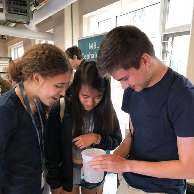 UChicago undergraduates visiting the Marine Resources Center at MBL. From left: Chloe Burns-Krul, Kelly Kang, and Gavin Atack. Credit: Bret Grasse