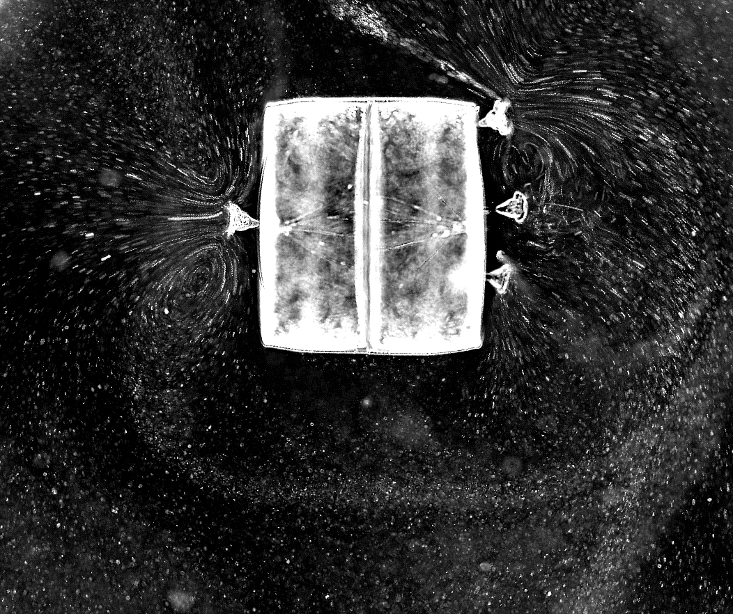 Coscinodiscus wailesii diatom with an attached Pseudovorticella coscinodisci ciliate epibionts. Streak lines were derived from flows generated by the ciliate epibionts. The source video was captured at 500 frames per second and the image integrates particle paths over a 200 frame interval. From Kanso et al, PNAS, 2021.