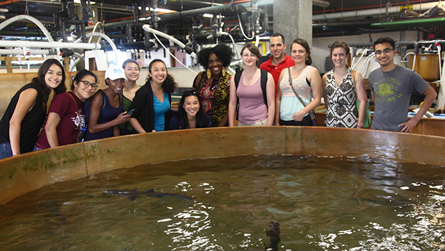 Alumni of the EXROP program visit the Marine Resources Center.