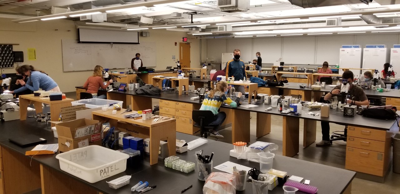 MBL Director Nipam Patel (standing at whiteboard) teaches in the Imaging for Biological Research course in spring 2021. Credit: Louis Kerr