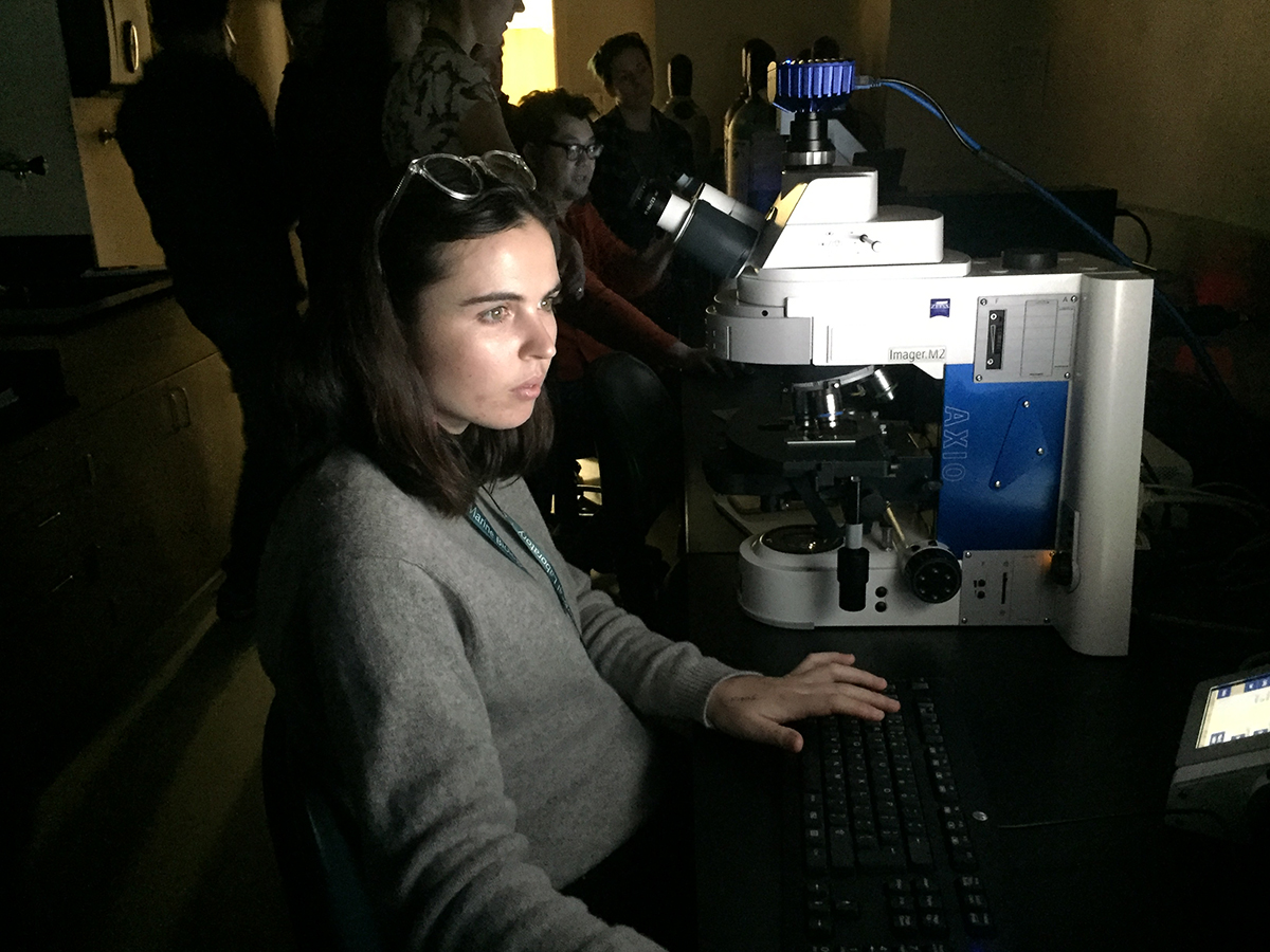 Biomedical Fellow Olivia Willis of Australian Broadcasting Corp. training in microscopy and imaging. Credit: Maryn McKenna