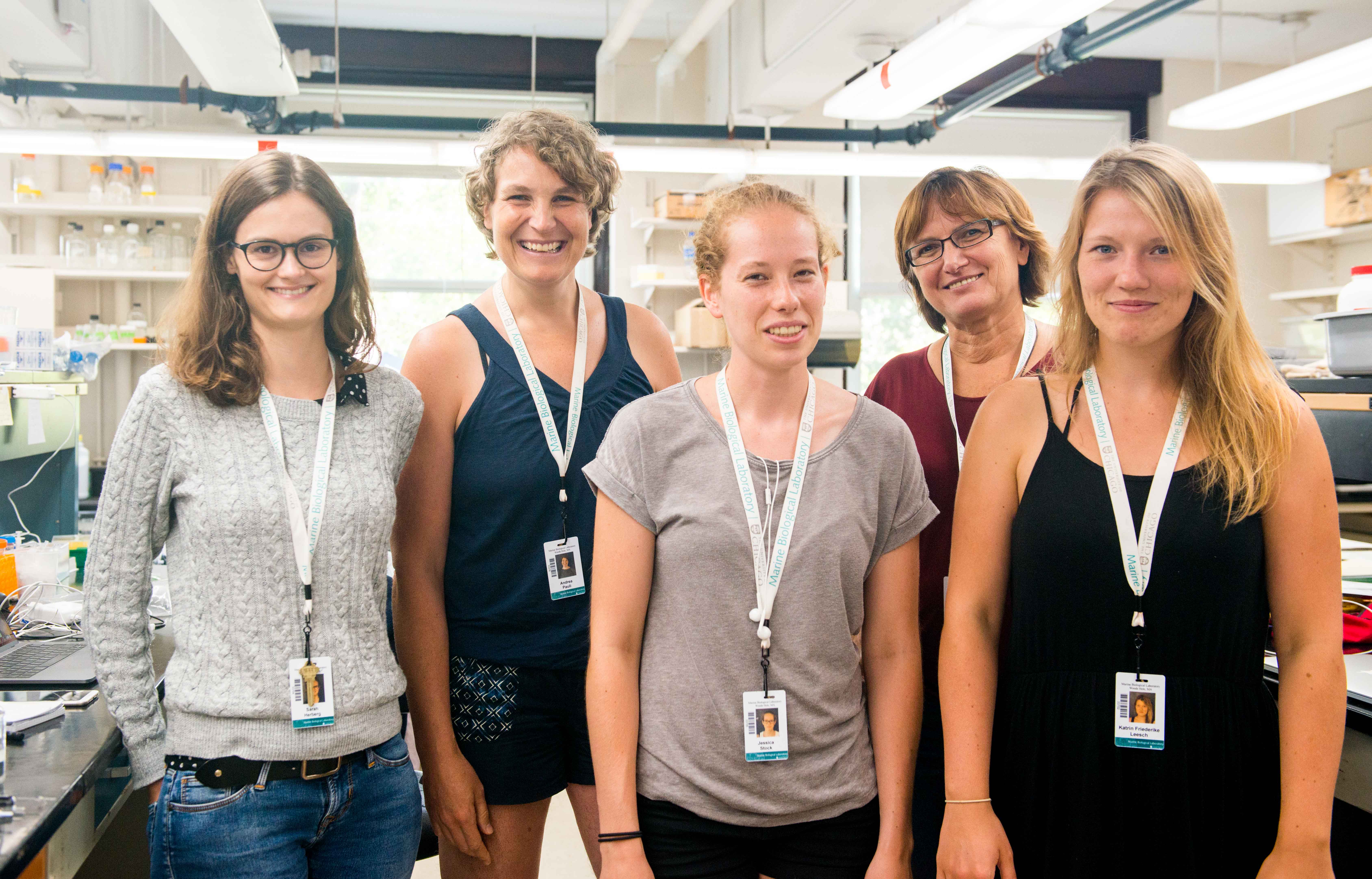 Members of the Pauli lab from IMP Vienna in the MBL Whitman Center. From left: Sarah Herberg (first author on the Bouncer Science paper); Andrea Pauli (IMP Group Leader); Jessica Stock (Pauli lab PhD student); Katherine Hammar of MBL, who assisted the Pauli lab with electron microscopy; and Friederike Leesch (Pauli Lab PhD student). Not pictured: Krista Gert, Pauli lab PhD student who also came to MBL. Credit: Megan Costello
